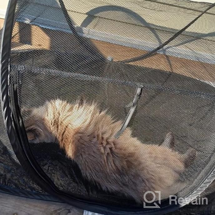 img 1 attached to Portable And Convenient Cat Tent For Outdoor Adventures And Indoor Playtime review by Toni Chapman