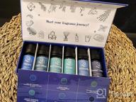 img 1 attached to 6X10Ml Aromatherapy Essential Oil Blends For Diffusers, Humidifiers & Massage - Calming Dreams Relaxing Mood Fresh Air Well-Being Gift Set By ASAKUKI review by Damon Murray