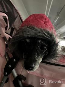 img 5 attached to Теплые и ветрозащитные куртки для маленьких собак - LesyPet Grey S