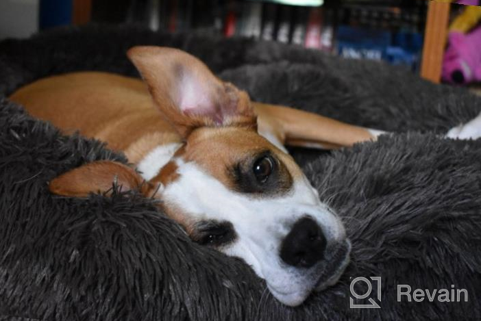 img 1 attached to Ultimate Comfort With PUPPBUDD'S Self-Warming Faux Fur Dog Bed - Perfect For Small Dogs Up To 35Lbs review by Chris Sweeton