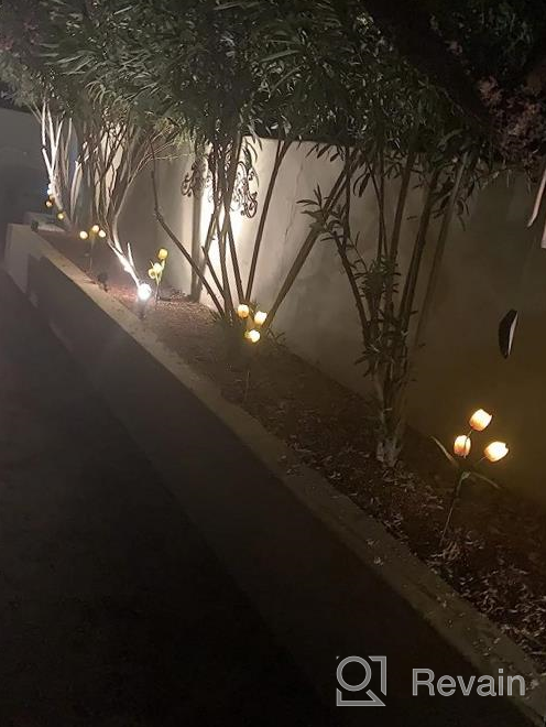 img 1 attached to Tulip Solar Garden Lights - Brighten Up Your Outdoor Space With Automatic Solar Flower Lights review by Kyle Mack