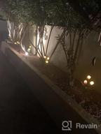 img 1 attached to Tulip Solar Garden Lights - Brighten Up Your Outdoor Space With Automatic Solar Flower Lights review by Kyle Mack