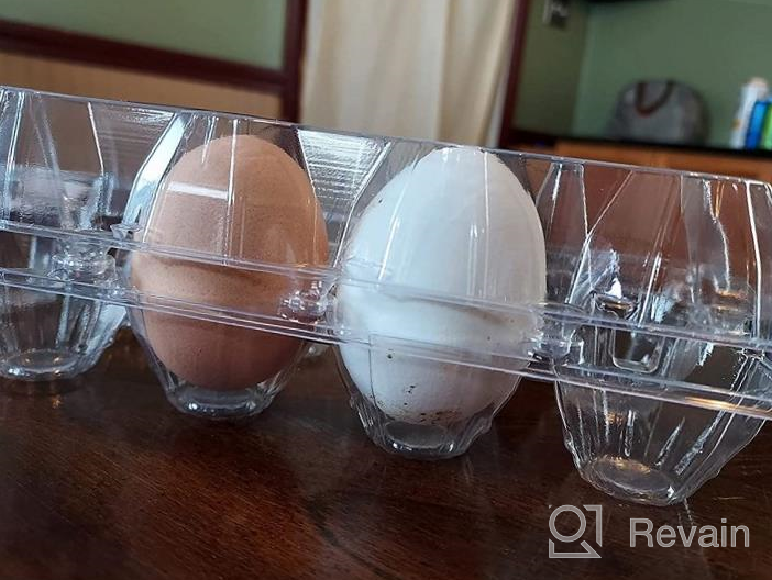 img 1 attached to Toplife Clear Plastic Eco-Friendly Egg Carton Set - 60 Ct., Securely Holds 6 Eggs with Sticker Labels review by Justin Sharp