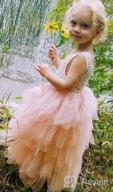 img 1 attached to 👸 Princess Birthday Party Dresses - Tutu Lace Cake Dress Skirts for Flower Girls review by Cole Dutta