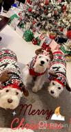 img 1 attached to KYEESE Christmas Dog Sweater Hoodie Reindeer Red Dogs Knitwear Pullover Pet Sweater With Leash Hole Ugly Christmas Dog Sweater For Small Dogs review by John Hill