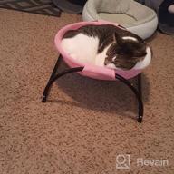 img 1 attached to Noyal Cat Hammock Bed: Elevated, Breathable, And Detachable For Indoor And Outdoor Kitty Comfort review by Adam Mazie
