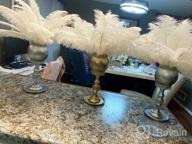 img 1 attached to 10Pcs Pink Ostrich Feathers Bulk 12-14Inch - Perfect For Christmas, Halloween & Wedding Decorations! review by Erick Roby