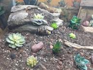 img 1 attached to Decorate Your Home With Supla 15 Pcs Assorted Artificial Succulent Plants - Bulk Pack review by Patrick Alexander