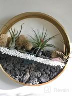 img 1 attached to Ecosides Round Indoor Wall Succulent Hanging Planter, Metal Decorative Freestanding Mount Holder With Glass For Air Plants, Faux Flower,Set Of 3 (White) review by Bill Lyons