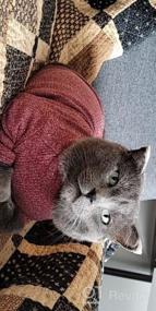 img 5 attached to Sphynx Cat Sweaters - Cozy Turtleneck Knitwear For Hairless Cats, Exclusively For Felines, XS-2XL Sizes Available, Perfect For Holiday Season