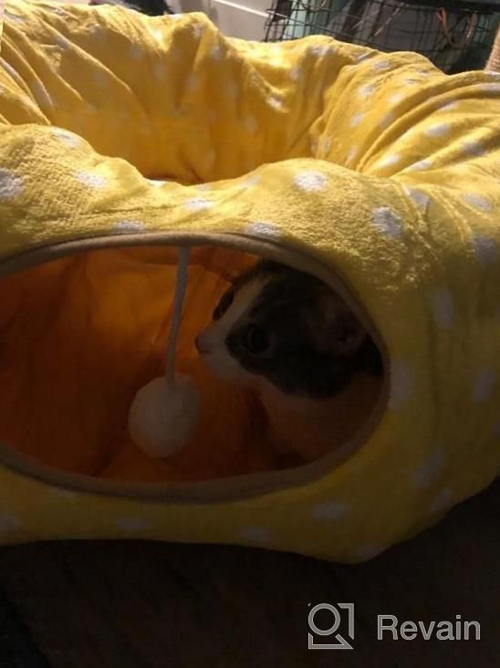 img 1 attached to Cat Heaven At Home! Get Your Furry Friend This Amazing 3-Way Collapsible Tunnel Bed With Ball Toy And Peek Hole For Fun Playtime And Exercise. review by Richard Kuntz