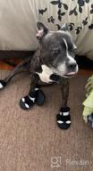 img 1 attached to Anti-Slip Dog Boots For Large And Medium Breeds - Winter Paw Protection With Adjustable Straps And Waterproof Design - Comfortable Pet Shoes For Hiking And Outdoor Activities review by Noah Warneking