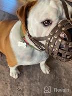 img 1 attached to Secure And Breathable Leather Basket Muzzle For Boxer And Bulldog Breeds - Anti-Bark And Chew Solutions review by Brian Carrizales