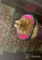 img 1 attached to GoodBoy Pink Inflatable Donut E-Collar For Dogs & Cats – Comfortable Post Surgery Or Wound Recovery Collar (2) review by David Underberg