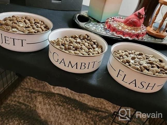 img 1 attached to Personalized Dog Bowls (Small - 20Oz) For Food Or Water - Design With Your Pet'S Name - Custom Stainless Steel Enamel Dog Bowl With Lid review by Tania Swenson