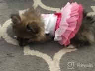 img 1 attached to Small Flower Pink Puppy Tutu Skirt Dog Dress - Cute And Stylish Pet Outfit! review by Justin Anderson