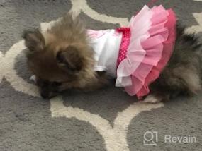 img 8 attached to Small Flower Pink Puppy Tutu Skirt Dog Dress - Cute And Stylish Pet Outfit!