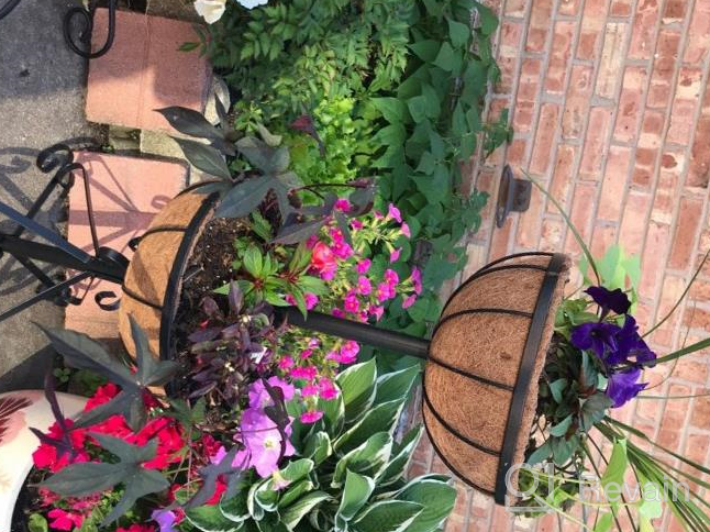 img 1 attached to Add Charm To Your Outdoor Area With Gardman R945 Forge Hanging Basket And Coco Liner | 12" X 7" Dimensions review by Robert Viher