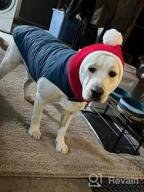 img 1 attached to Warm And Festive: X-Large Red Christmas Dog Hat Costume For Golden Retrievers And Labradors review by Jeanette Jenson