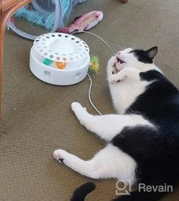 img 6 attached to 3-In-1 Smart Interactive Cat Toy For Kittens - Fluttering Butterfly, Ambush Feathers, Track Balls & More!