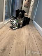 картинка 1 прикреплена к отзыву Train Your Canine'S Foraging Skills With QDAN'S Soccer Ball And Snuffle Mat Combo! от Teresa Presha