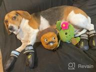 img 1 attached to Mikhail The Mouse King: The Ultimate Interactive Plush Puzzle Toy For Your Dog - Perfect For Small, Medium, And Large Breeds! review by Courtney Knight