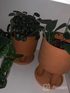 img 1 attached to Set Of 2 - 4.5" Terracotta Clay Plant Pots W/ 3 Legs & Saucer | Indoor Succulent Planters review by Kevin Robinson