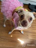img 1 attached to 🦄 KYEESE Unicorn Tiered Layer Tutu Tulle Dog Birthday Party Dress with Sequins - Perfect for Small Dogs review by John Souza