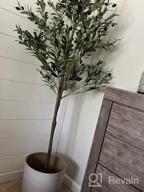 img 1 attached to Artificial Olive Tree - 5.25Ft Tall Faux Potted Silk Tree With Planter, Large Olive Branch And Fruit Decoration, Indoor Home Decor For Modern Living Spaces, 1032 Leaves review by Buddy Camaney