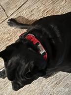 img 1 attached to Personalized Red Nylon Dog Collar With Engraved Name Plate - Perfect For Large Dogs | Joytale review by Stephen Burgstaller
