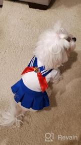 img 5 attached to XL Dog Skirt Costume For Student Cosplay - Blue Tangpan Bow-Knot Camp Dress