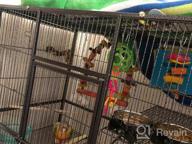 картинка 1 прикреплена к отзыву Spacious Wrought Iron Double Breeding Bird Cage With Slide-Out Divider, 3 Levels Of Abode For Parrots, Cockatiels, And Conures, 63" L X 19" D X 64" H With Rolling Stand от Robert Capers