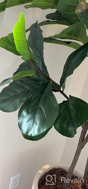 img 1 attached to 2Pack 6Ft Tall Artificial Fiddle Leaf Fig Tree With 86 Decorative Faux Leaves For Home Office Living Room Bathroom Corner Decor Indoor - VIAGDO review by Lance Story