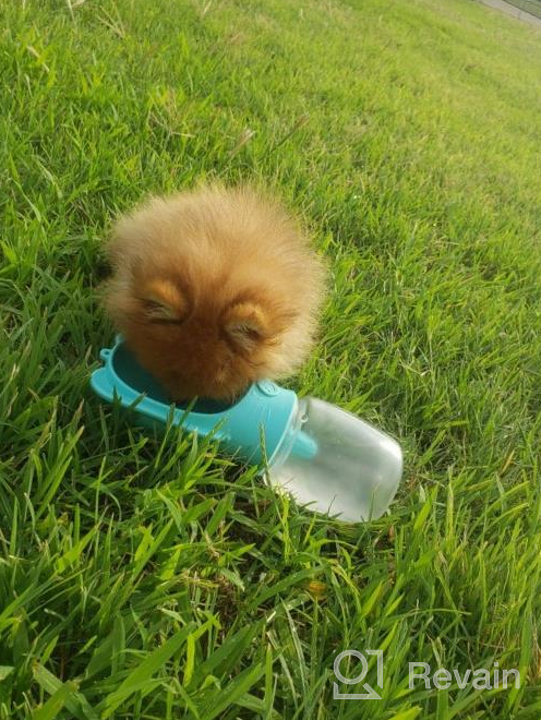 img 1 attached to 🐾 SYCON Dog Water Bottle: Portable Leak-Proof Pet Water Dispenser for Walks, Hikes, and Travel - BPA Free Food Grade - Lightweight and Convenient (18oz, Blue) review by Richard Orozco