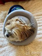 img 1 attached to Water-Resistant Soft UFO Pet Recovery Collar For Small And Medium Dogs And Cats After Surgery - Safe Alternative Cone With Adjustable Neck Donut In Navy (Small) review by Rhett Fifer