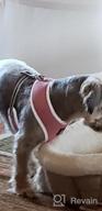 img 1 attached to Adjustable Reflective Dog Harness And Leash Set - Soft Mesh Comfort Fit Step-In Puppy Vest Harness For Small And Medium Dogs - No Pull, No Choke Design (XS, Pink) review by Braden Bowers