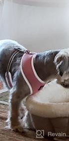 img 6 attached to Adjustable Reflective Dog Harness And Leash Set - Soft Mesh Comfort Fit Step-In Puppy Vest Harness For Small And Medium Dogs - No Pull, No Choke Design (XS, Pink)
