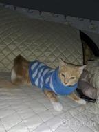 img 1 attached to High Stretch And Soft Striped Kitty Sweater For Cats And Small Dogs - Evursua Knitwear For Male And Female Pets (S, Blue) - Keeping Them Warm And Fashionable review by Dwayne Shavers
