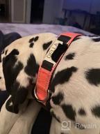 img 1 attached to Personalized Red Nylon Dog Collar With Engraved Name Plate - Perfect For Large Dogs | Joytale review by Ron Collins