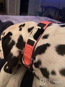 img 7 attached to Personalized Red Nylon Dog Collar With Engraved Name Plate - Perfect For Large Dogs | Joytale