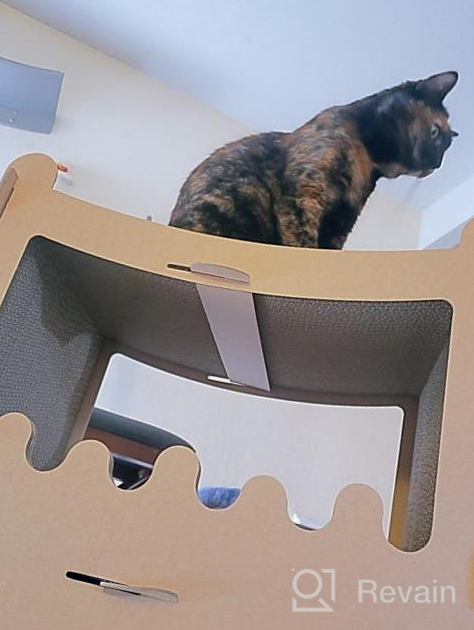 img 1 attached to Large Cat House For Cats & Kitties - Petique Feline Penthouse Three Level Cardboard Kitty House review by Leo Puente