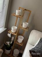 img 1 attached to 🌿 Bamboo 5-Tier Potted Plant Stand Rack - Multiple Flower Pot Holder Shelf - Indoor Outdoor Planter Display Shelving Unit for Patio, Garden, Corner, Balcony, Living Room review by James Hova