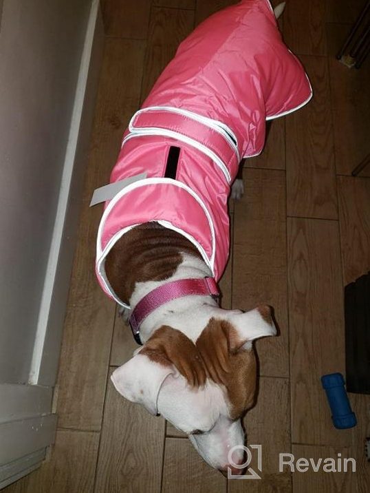 img 1 attached to Waterproof Reflective Winter Dog Jacket With Reversible Stormguard, Windproof Coat For Cold Weather, Warm Coat Vest For Small, Medium, Large Dogs - Red (Size S) By MIGOHI review by Scott Lavimodiere