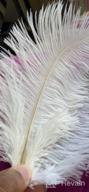 img 1 attached to Sowder 50Pcs Natural 8-10Inch(20-25Cm) Ostrich Feathers Home Wedding Decoration(Black) review by Kevin Silver