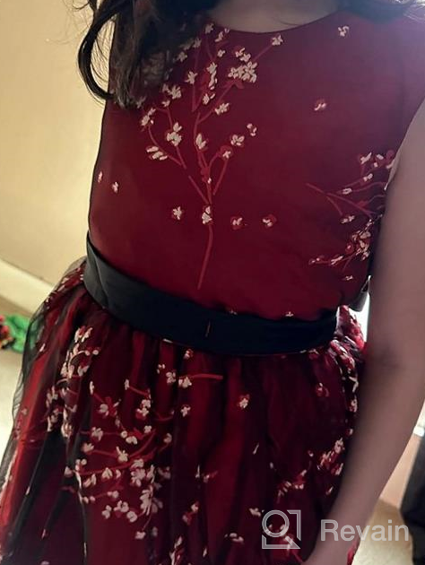 img 1 attached to Girls' Clothing: Sleeveless Princess 👗 Communion Sundress in PBurgundy for Dresses review by Natasha Boulden