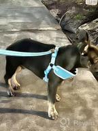 img 1 attached to Fida XS Dog Harness - Reflective Soft Air Mesh Vest, Adjustable For Small Dogs (XS, River Blue) review by Takeshi Krzywicki