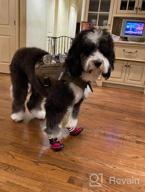 img 1 attached to Rugged Anti-Slip Dog Boots For Winter Snow And Outdoor Adventures - Adjustable Straps And Comfortable Fit For Large And Medium Dogs (L, Orange) review by Paul Mac