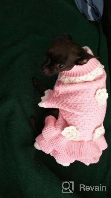 img 1 attached to Joytale Small Dog Sweater Turtleneck Dress: Stylish Winter Cable Knitwear for Cats, Puppies, and Small Dogs review by Dejuan Stott