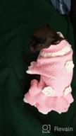 картинка 1 прикреплена к отзыву Joytale Small Dog Sweater Turtleneck Dress: Stylish Winter Cable Knitwear for Cats, Puppies, and Small Dogs от Dejuan Stott