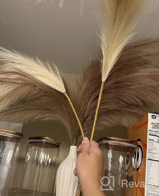 img 1 attached to 3 Pcs 38" Faux Pampas Grass Decor For Floor Vase, Fluffy Boho Home Decor Artificial Fake Plants Living Room Bedroom Kitchen (Mixed) review by Alex May